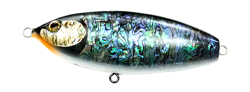 jpaj_mexican abalone